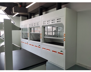 玻璃鋼通風(fēng)柜 實(shí)驗(yàn)室通風(fēng)